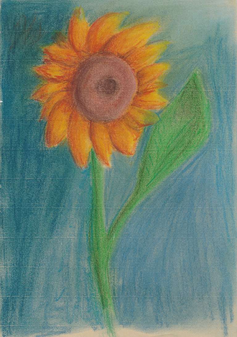 Sonnenblume